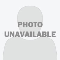 scurvydog